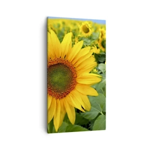 Quadro em tela - Centenas de sóis brilharam - 45x80 cm