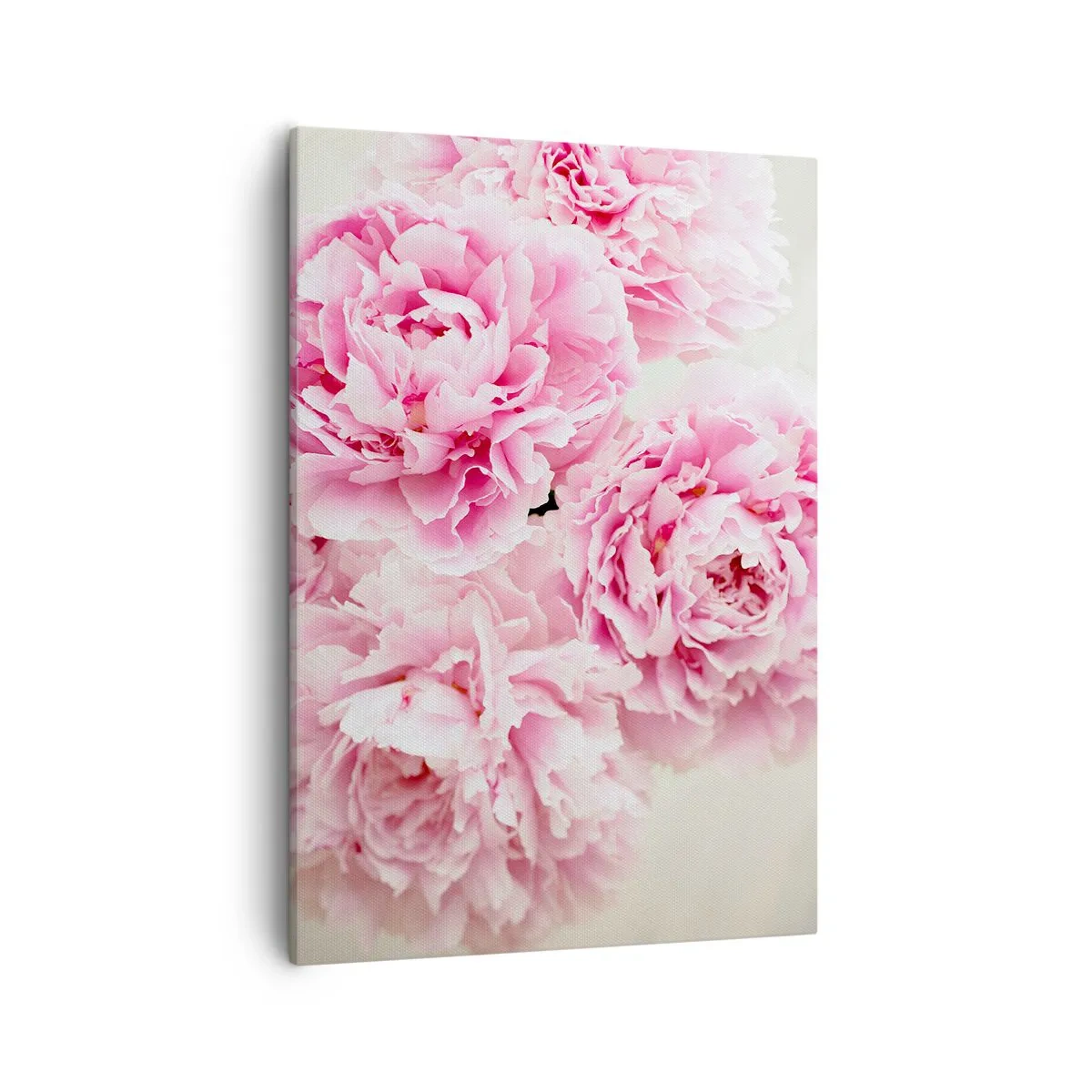 Quadro em tela - Em esplendor rosa - 50x70 cm