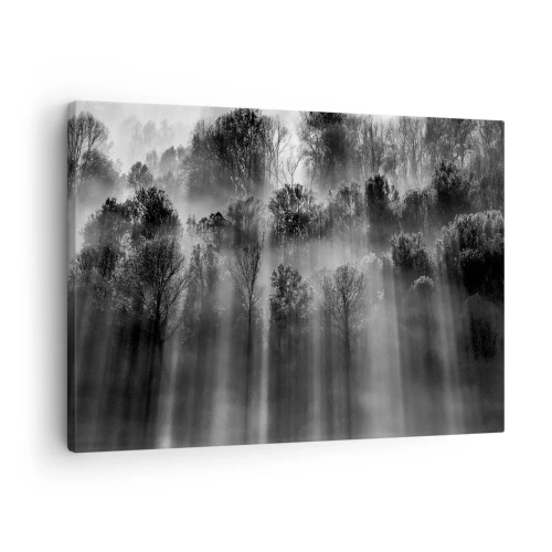 Quadro em tela - Floresta preta e branca na luz da manhã - 70x50cm - Em correntes de luz - Decoração de parede moderna para a sala de estar e quarto ARTTOR