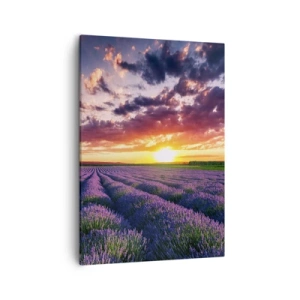 Quadro em tela - O mundo da lavanda - 50x70 cm