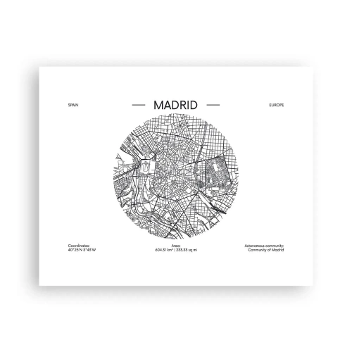 Pôster - Anatomia de Madri - 50x40 cm