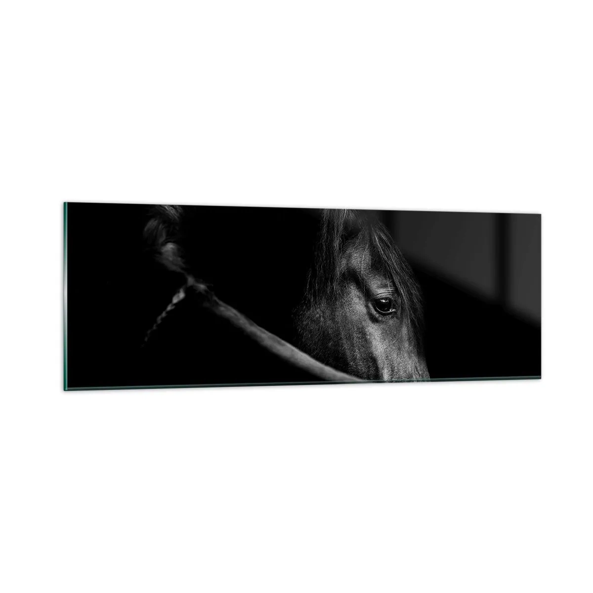 Quadro em vidro - Príncipe Negro - 90x30 cm