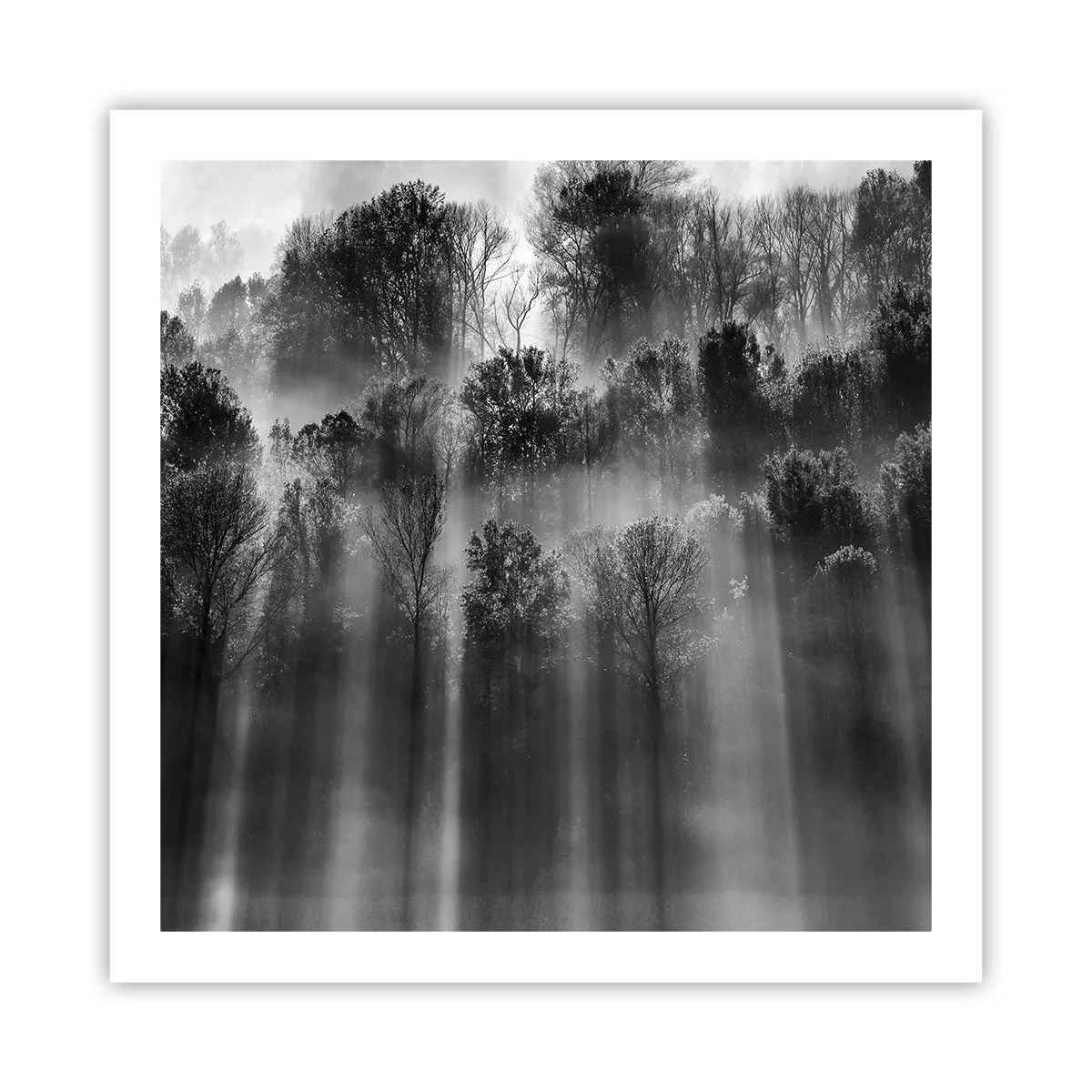 Pôster - Em correntes de luz - 60x60 cm