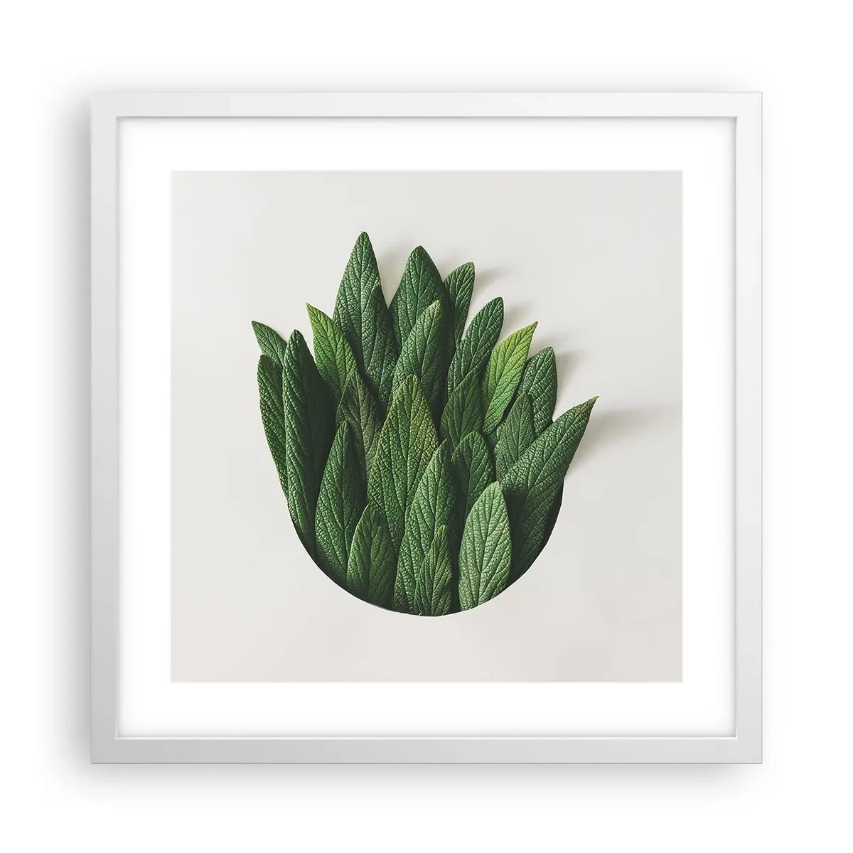 Pôster em moldura branca - Curiosidade indomável - 40x40 cm