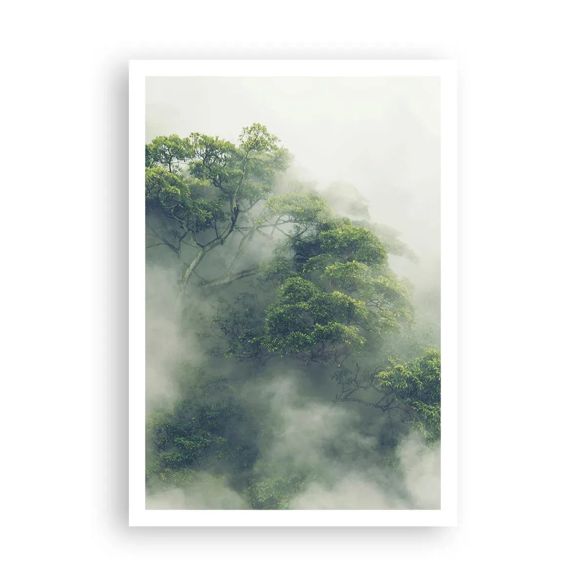 Pôster - Envolto em neblina - 70x100 cm