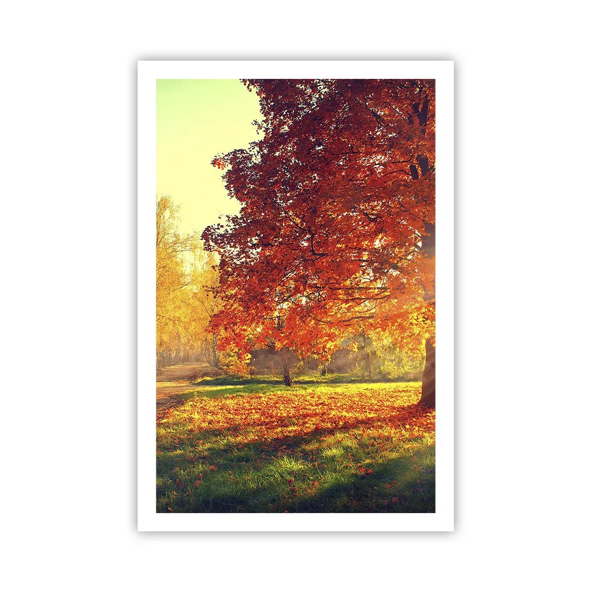 Pôster - O vermelho é lindo - 61x91 cm