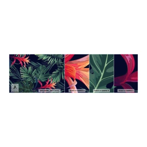 Amostra de Papel de Parede Standard Eco - Queimar em verde - Flores, Planta tropical, Folhas de palmeira - 100x30 cm