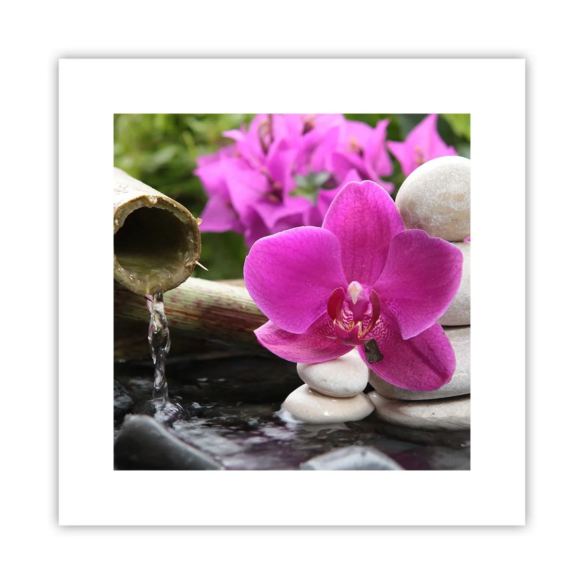 Pôster - Descanso imediato - 30x30 cm