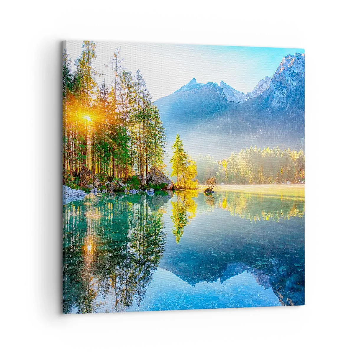 Quadro em tela - Majestade e doçura - 50x50 cm