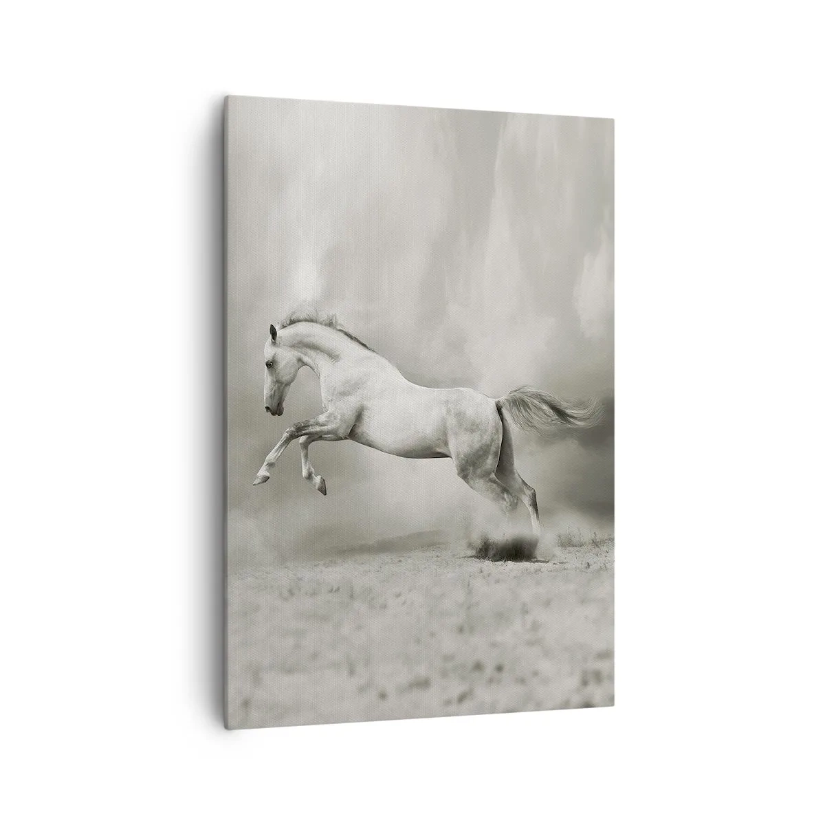 Quadro em tela - Entre o acordar e sonhar - 70x100 cm