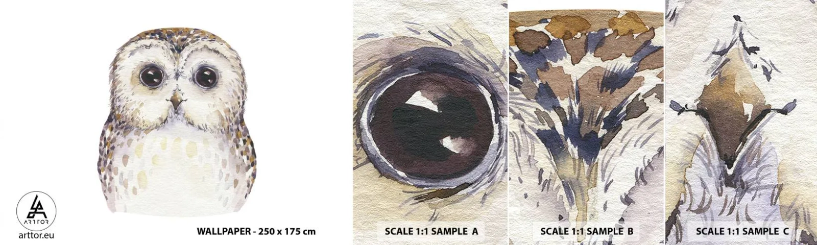 Amostra de Papel de Parede Standard Eco - Olhe-me nos olhos - Coruja, Pássaro, Gráficos - 100x30 cm