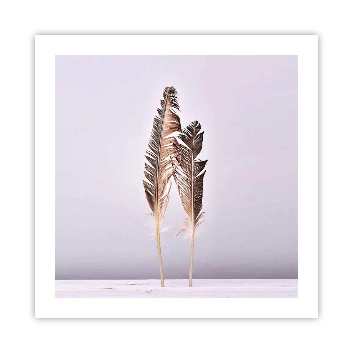 Pôster - Contra o nada - 50x50 cm