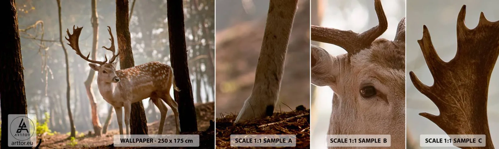 Amostra de Papel de Parede Standard Eco - A Luz da Juventude - Animais, Cervo, Floresta - 100x30 cm