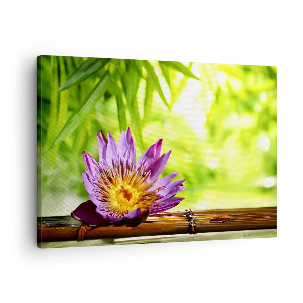 Quadro em tela - Flor de lótus roxa sobre um fundo de folhas verdes de bambu - 70x50cm - Sob o sol asiático - Decoração de parede moderna para a sala de estar e quarto ARTTOR