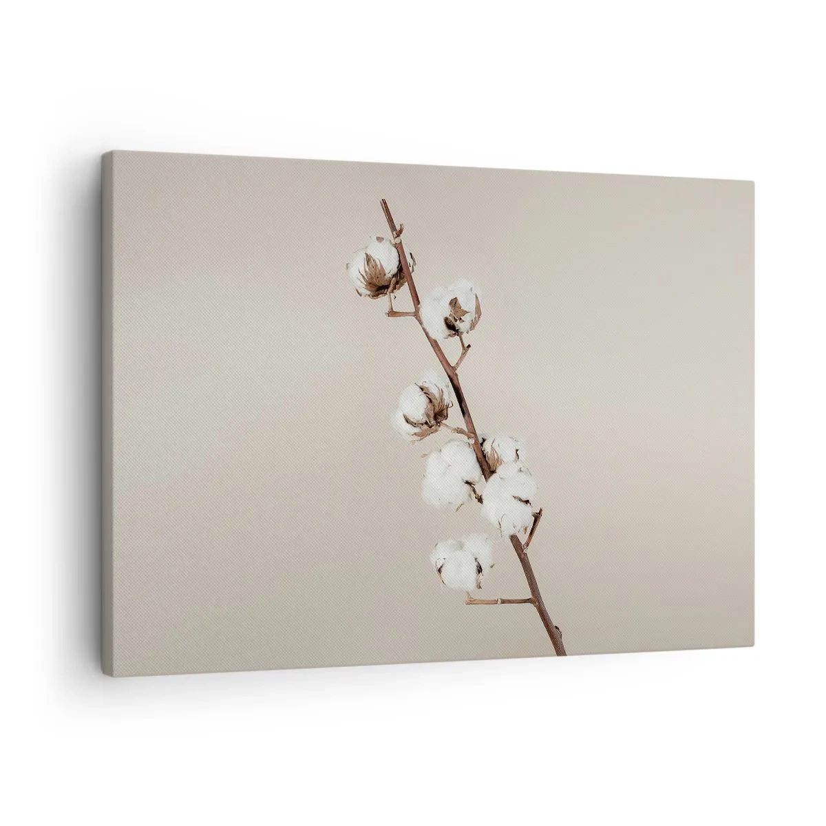 Quadro em tela - Um raminho de algodão em um fundo bege - 70x50cm - Na fonte da suavidade - Decoração de parede moderna para a sala de estar e quarto ARTTOR