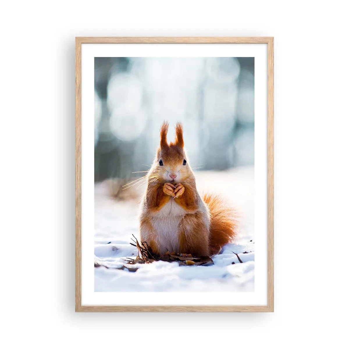 Pôster com moldura de carvalho claro - Para o que estás a olhar? - 50x70 cm