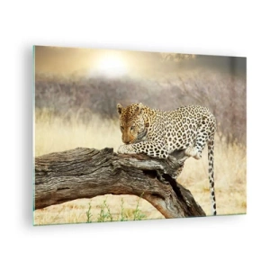 Quadro em vidro - Um leopardo descansando em um galho de madeira - 70x50cm - Eu sigo o meu próprio caminho - Decoração de parede moderna para a sala de estar e quarto ARTTOR
