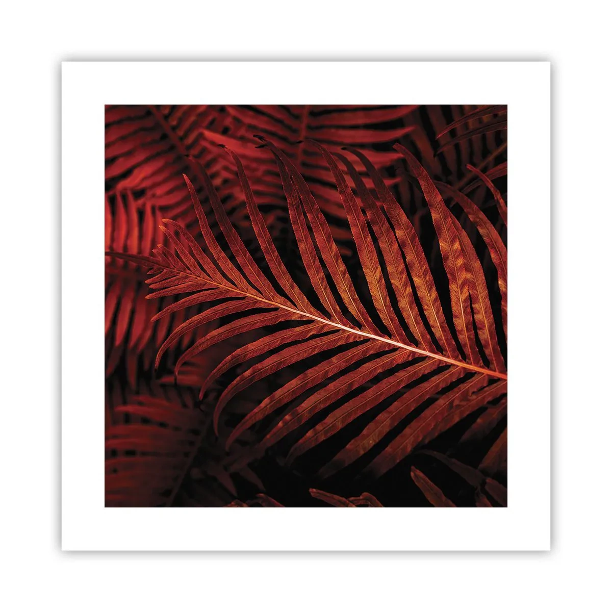 Pôster - O calor da vida - 40x40 cm