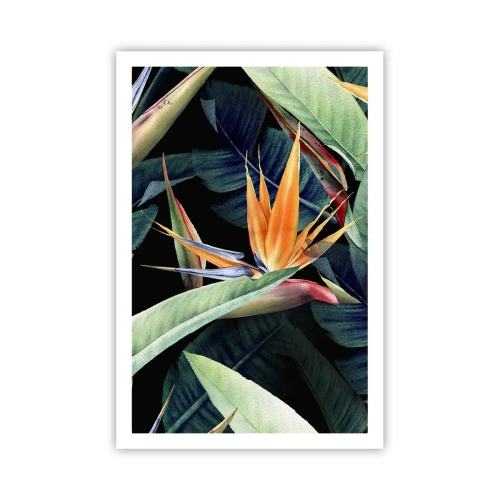 Pôster - Flores ardentes dos trópicos - 61x91 cm