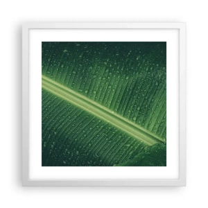 Pôster em moldura branca - A estrutura da vegetação - 40x40 cm