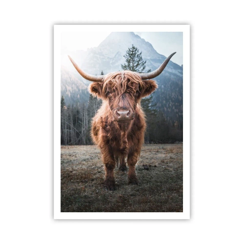 Pôster - Saudações do prado da montanha - 70x100 cm