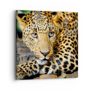 Quadro em tela - Não tenha medo, venha - 40x40 cm