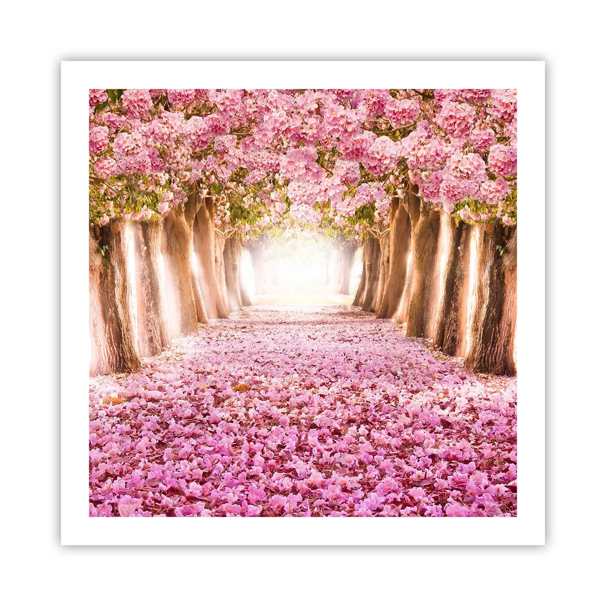 Pôster - O Caminho para o Paraíso - 60x60 cm