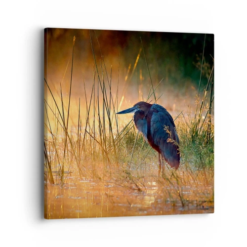 Quadro em tela - Já chega de fotos - 40x40 cm