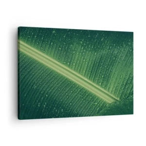Quadro em tela - Uma folha verde com gotas de água em sua superfície - 70x50cm - A estrutura da vegetação - Decoração de parede moderna para a sala de estar e quarto ARTTOR