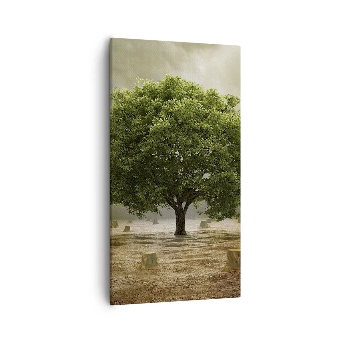 Quadro em tela - Toda a esperança - 55x100 cm