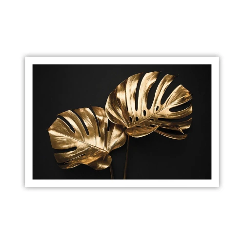 Pôster - Tesouros da natureza - 91x61 cm