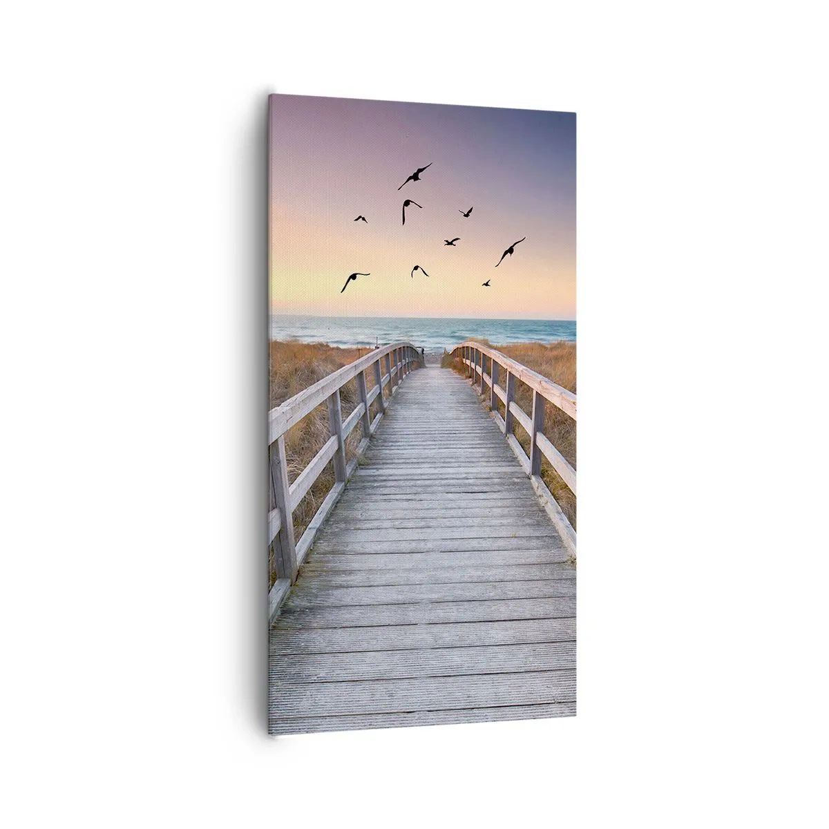 Quadro em tela - O espaço das alturas - 65x120 cm