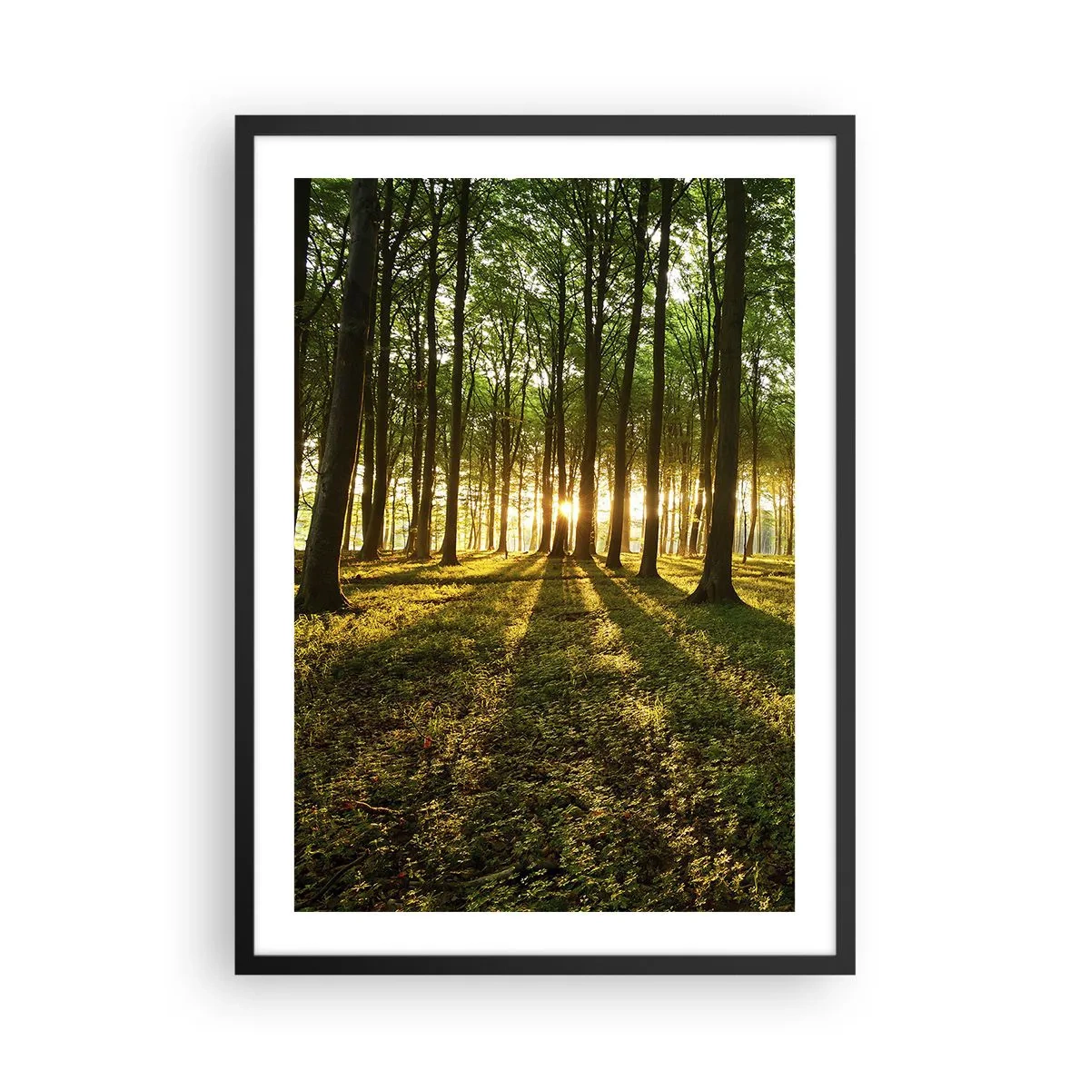 Pôster com moldura preta - Uma floresta iluminada pelos raios do sol poente - 50x70cm - Fotografia de todas as primaveras - Decoração de parede moderna para a sala de estar e quarto ARTTOR
