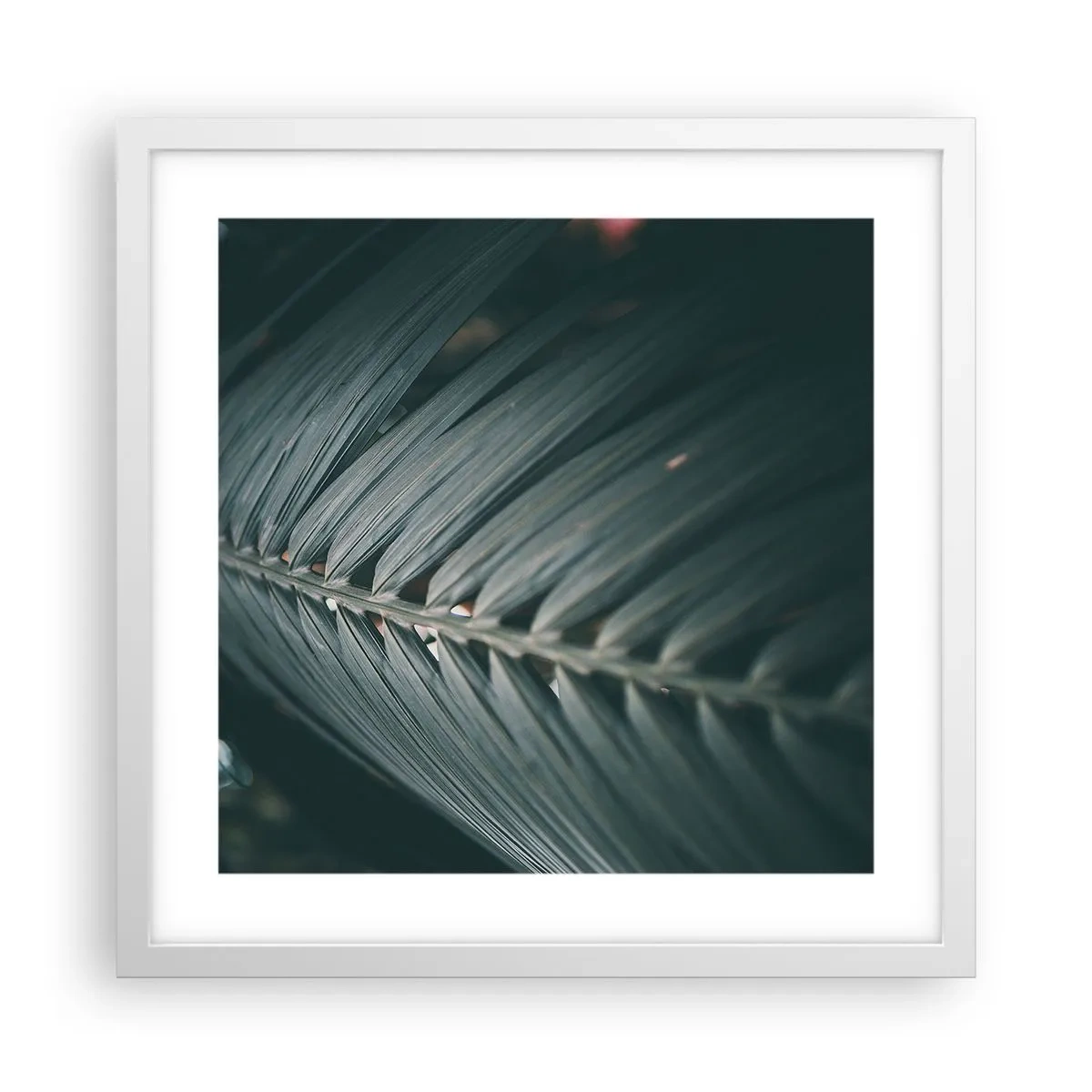 Pôster em moldura branca - A precisão da natureza - 40x40 cm