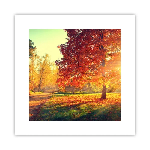 Pôster - O vermelho é lindo - 30x30 cm