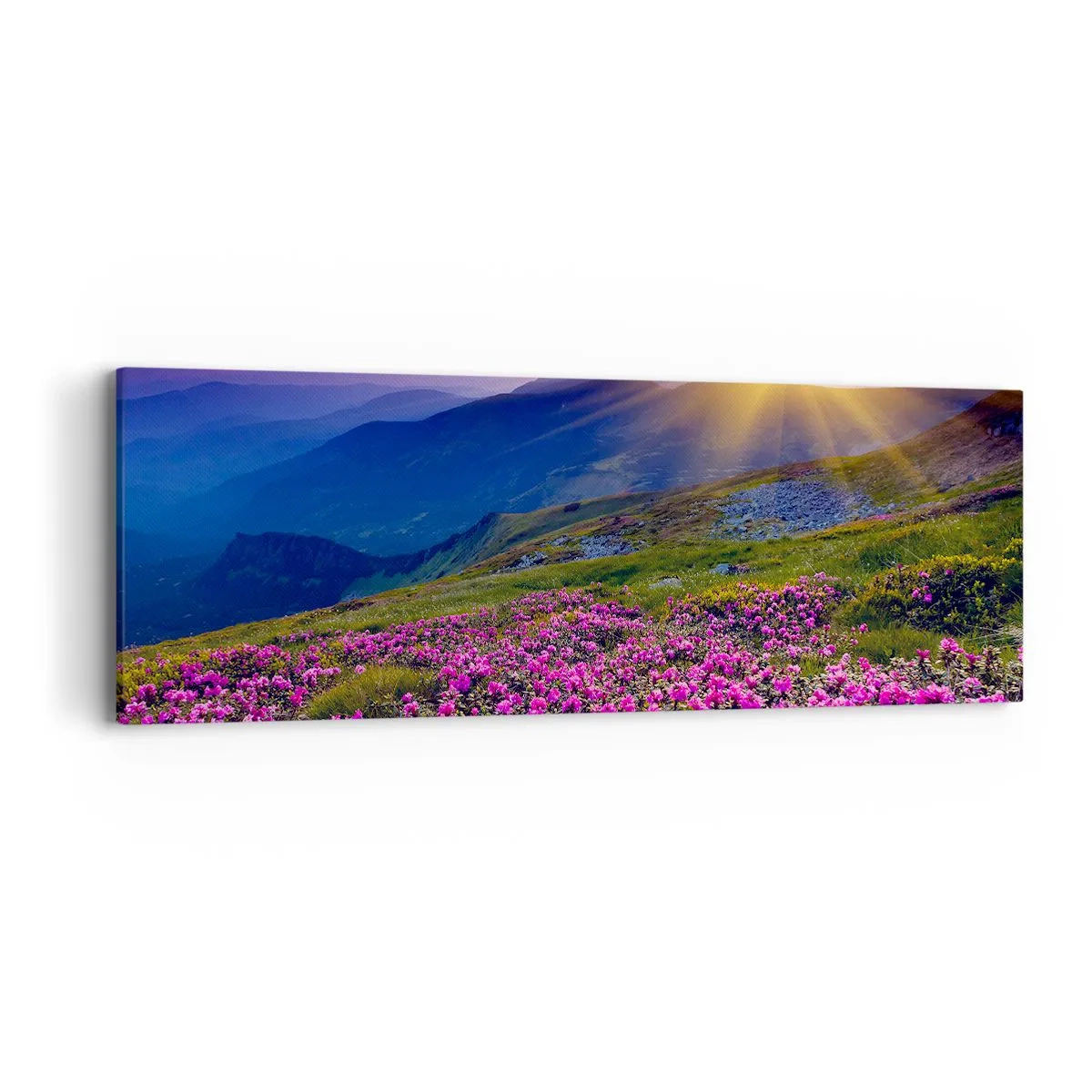 Quadro em tela - …Cheiro de pinheiros e ervas da montanha - 90x30 cm