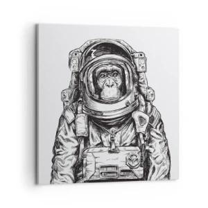Quadro em tela - Evolução alternativa - 60x60 cm