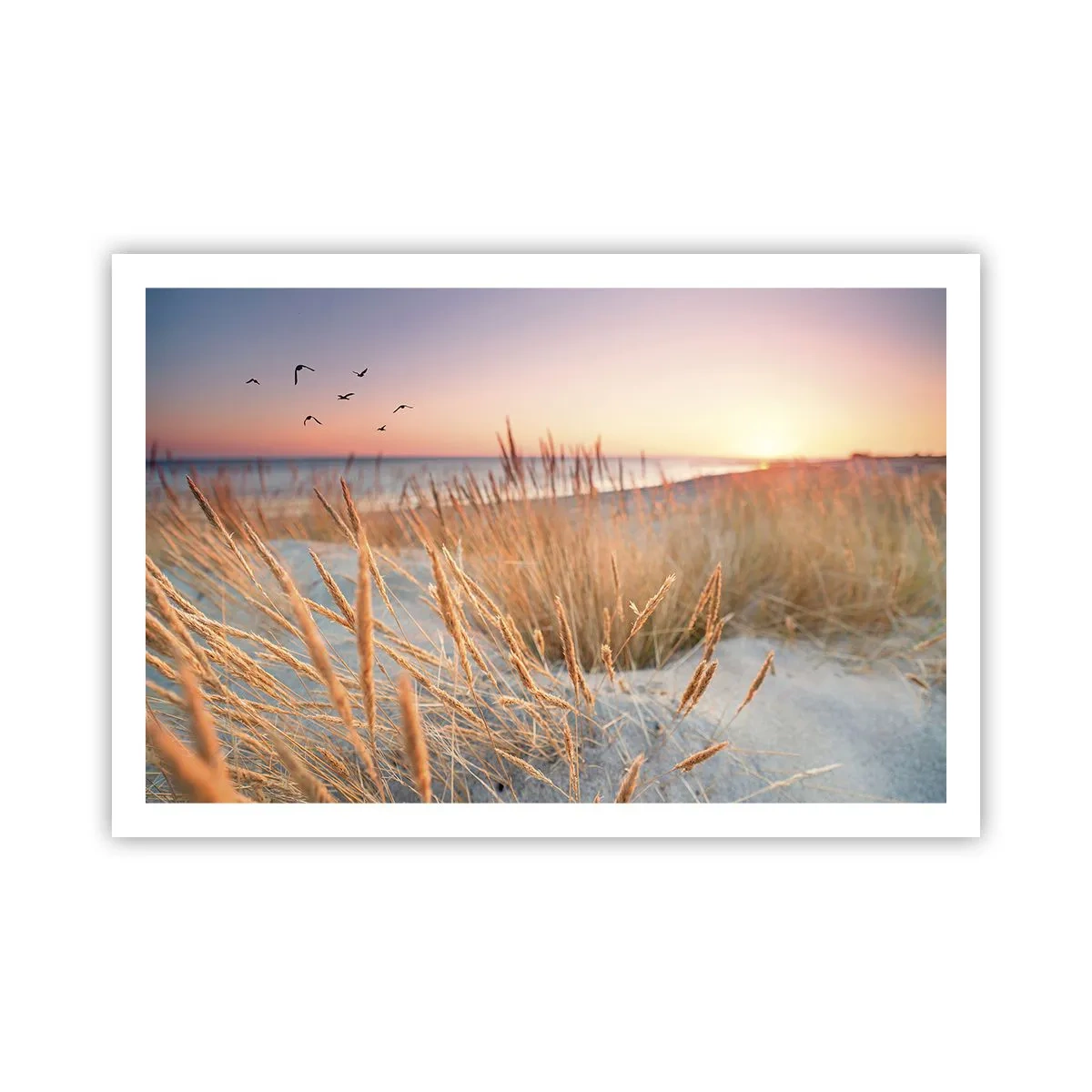 Pôster - Uma canção de embalar do Báltico - 91x61 cm