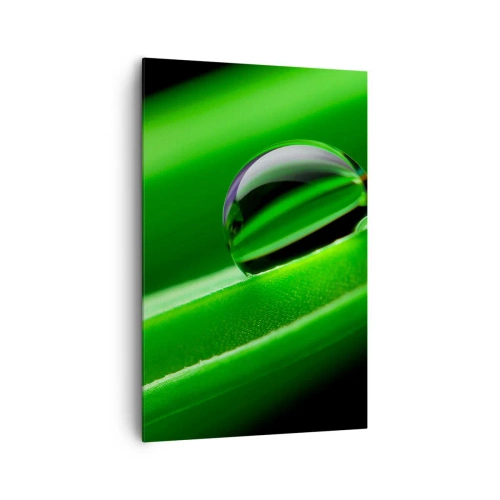 Quadro em tela - A vida de perto - 80x120 cm