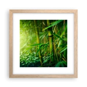 Pôster com moldura de carvalho claro - Conheça a vegetação  - 30x30 cm
