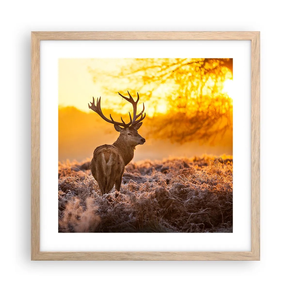 Pôster com moldura de carvalho claro - Rei da floresta de outono - 40x40 cm