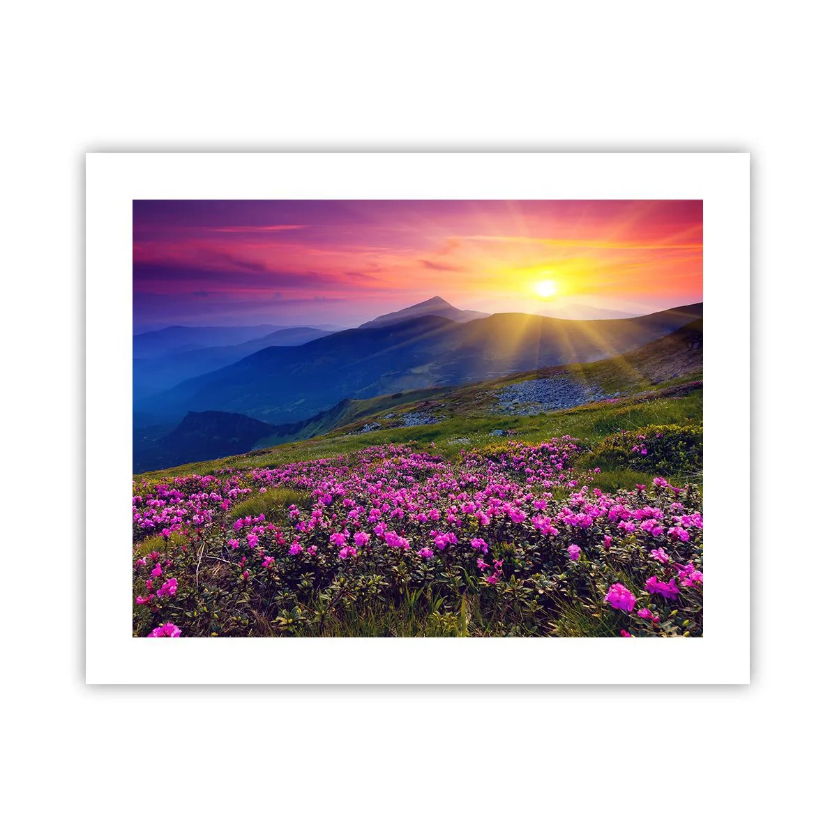 Pôster - …Cheiro de pinheiros e ervas da montanha - 50x40 cm