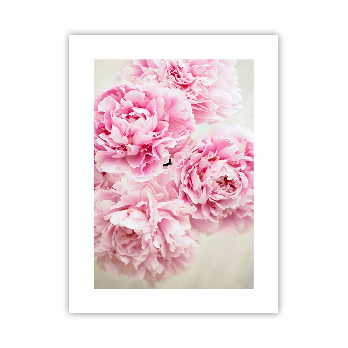 Pôster - Em esplendor rosa - 30x40 cm
