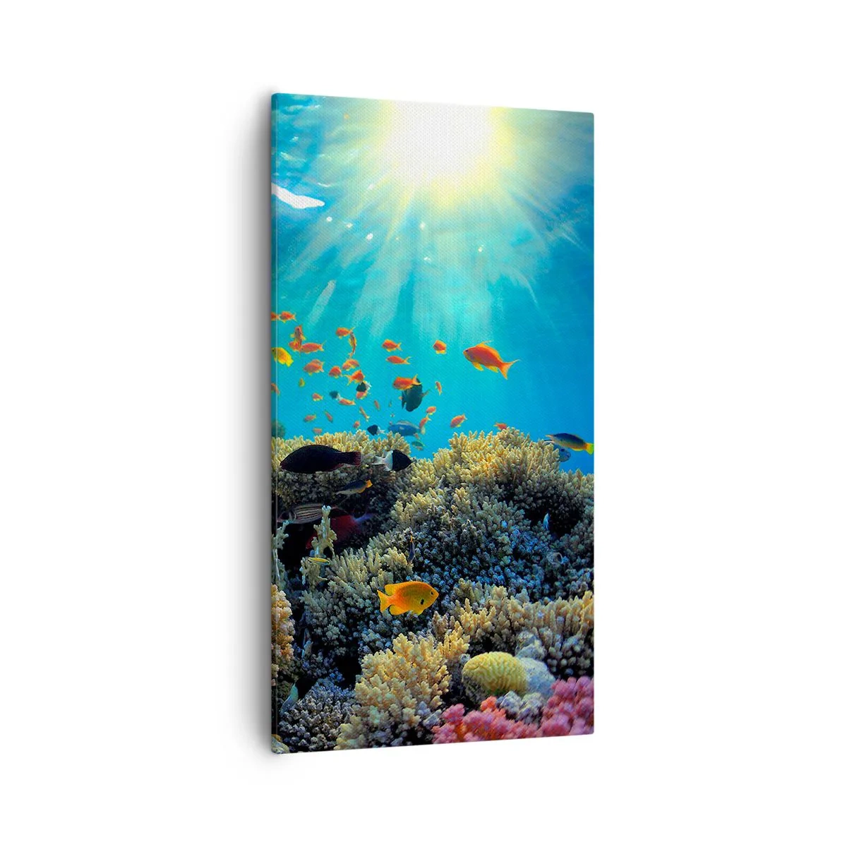 Quadro em tela - Tesouros subaquáticos - 55x100 cm