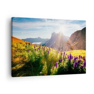 Quadro em tela - Paisagem montanhosa com flores à luz do sol nascente - 70x50cm - A vida secreta das ervas - Decoração de parede moderna para a sala de estar e quarto ARTTOR