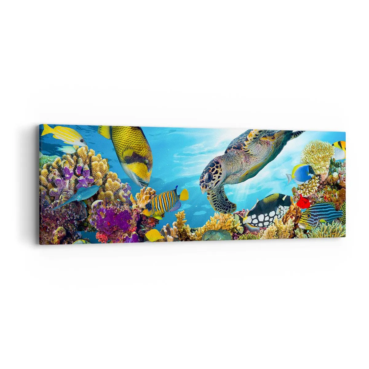 Quadro em tela - Alameda dos corais - 90x30 cm