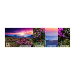 Amostra de papel de parede autocolante Deluxe Sticker - Campo cheiroso - Paisagem, Montanhas, Flores - 100x30 cm
