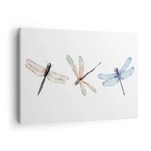 Quadro em tela - Três libélulas em delicadas cores pastéis - 70x50cm - Libélulas sem peso - Decoração de parede moderna para a sala de estar e quarto ARTTOR