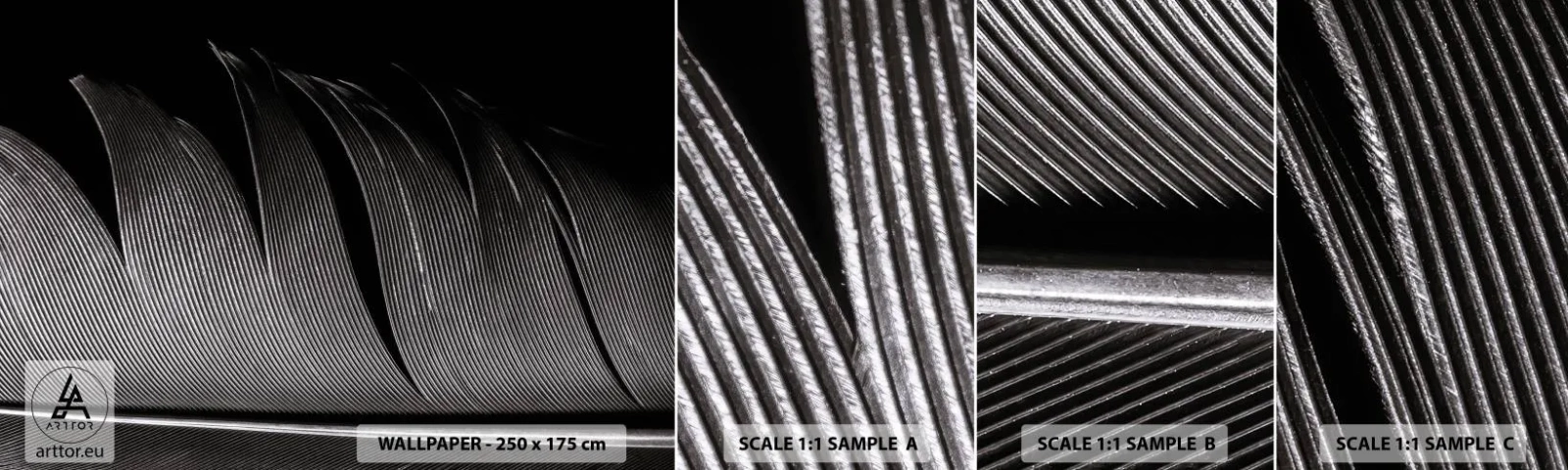 Amostra de Papel de Parede Standard Eco - A caneta – um design maravilhoso - Caneta, Minimalismo, Leveza - 100x30 cm