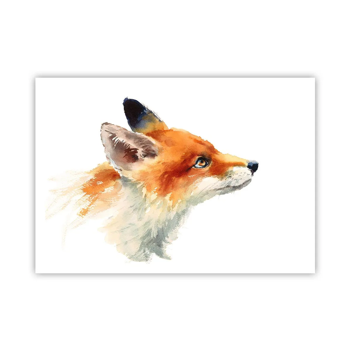 Pôster - Nunca é demais ter cuidado - 100x70 cm